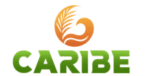 Caribe restaurant logo featuring an orange tropical crest and green bold lettering.